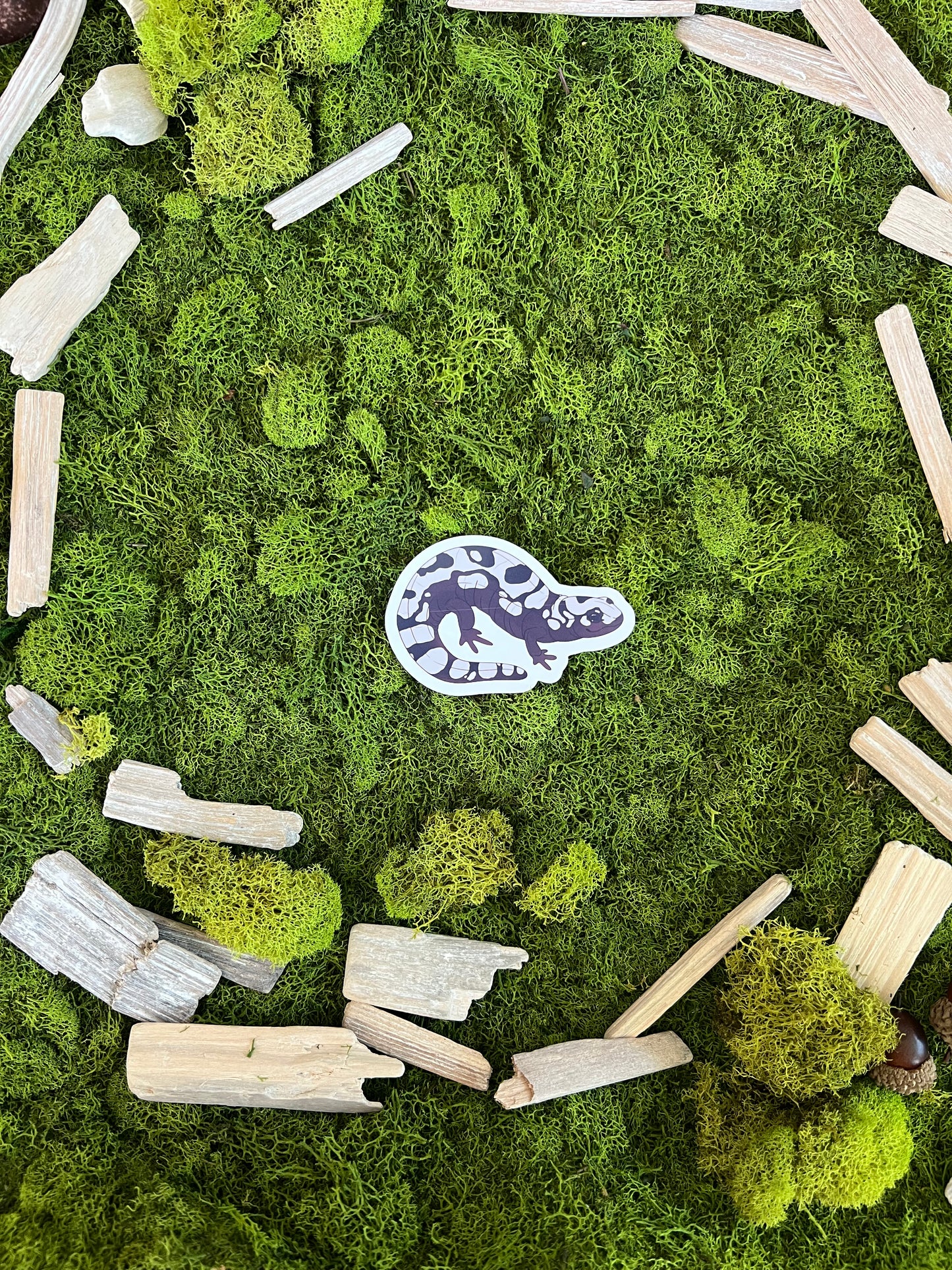 Marbled Salamander Glossy Sticker