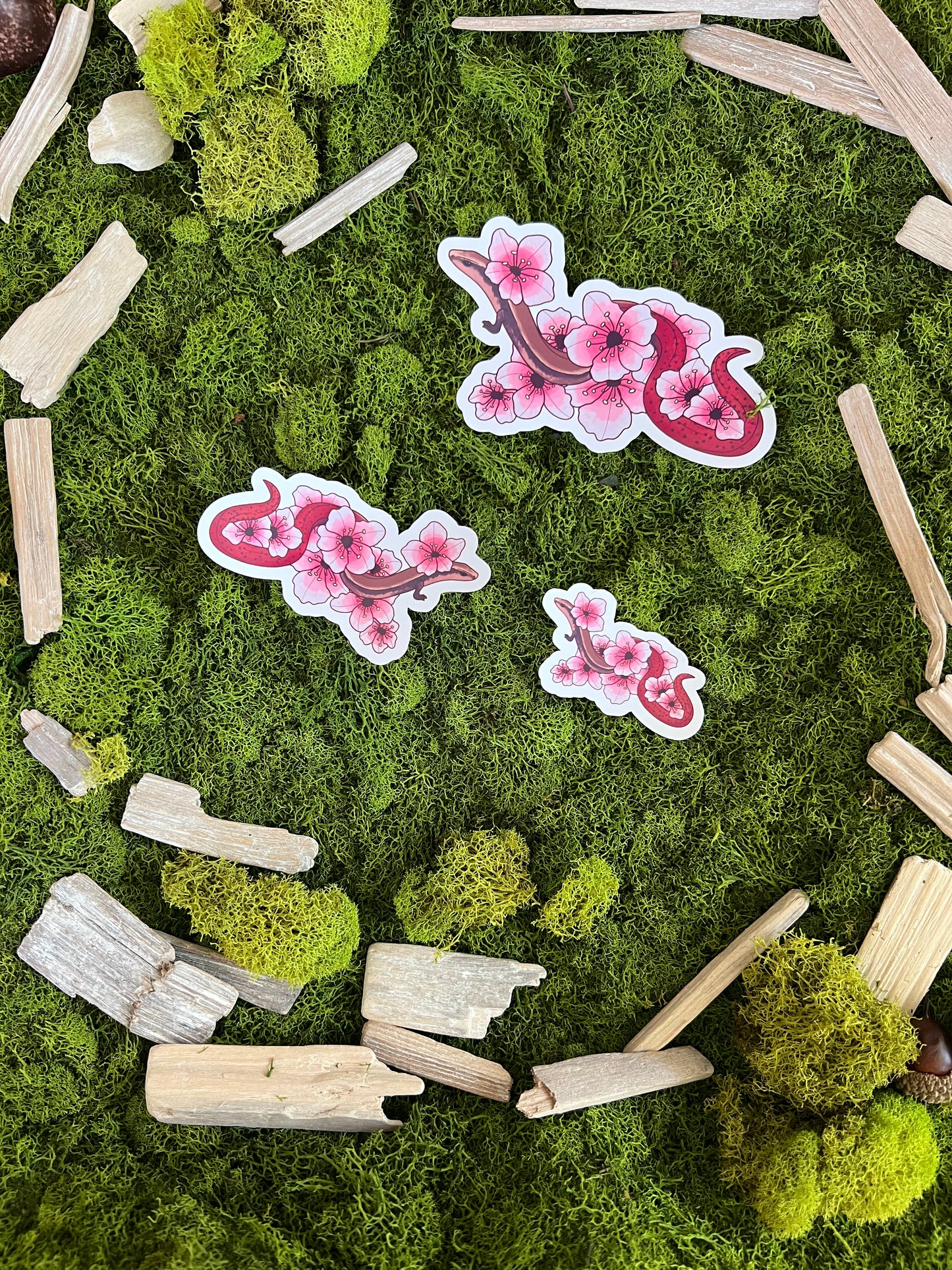 Flame-Tailed Slider Blossoms Glossy Sticker