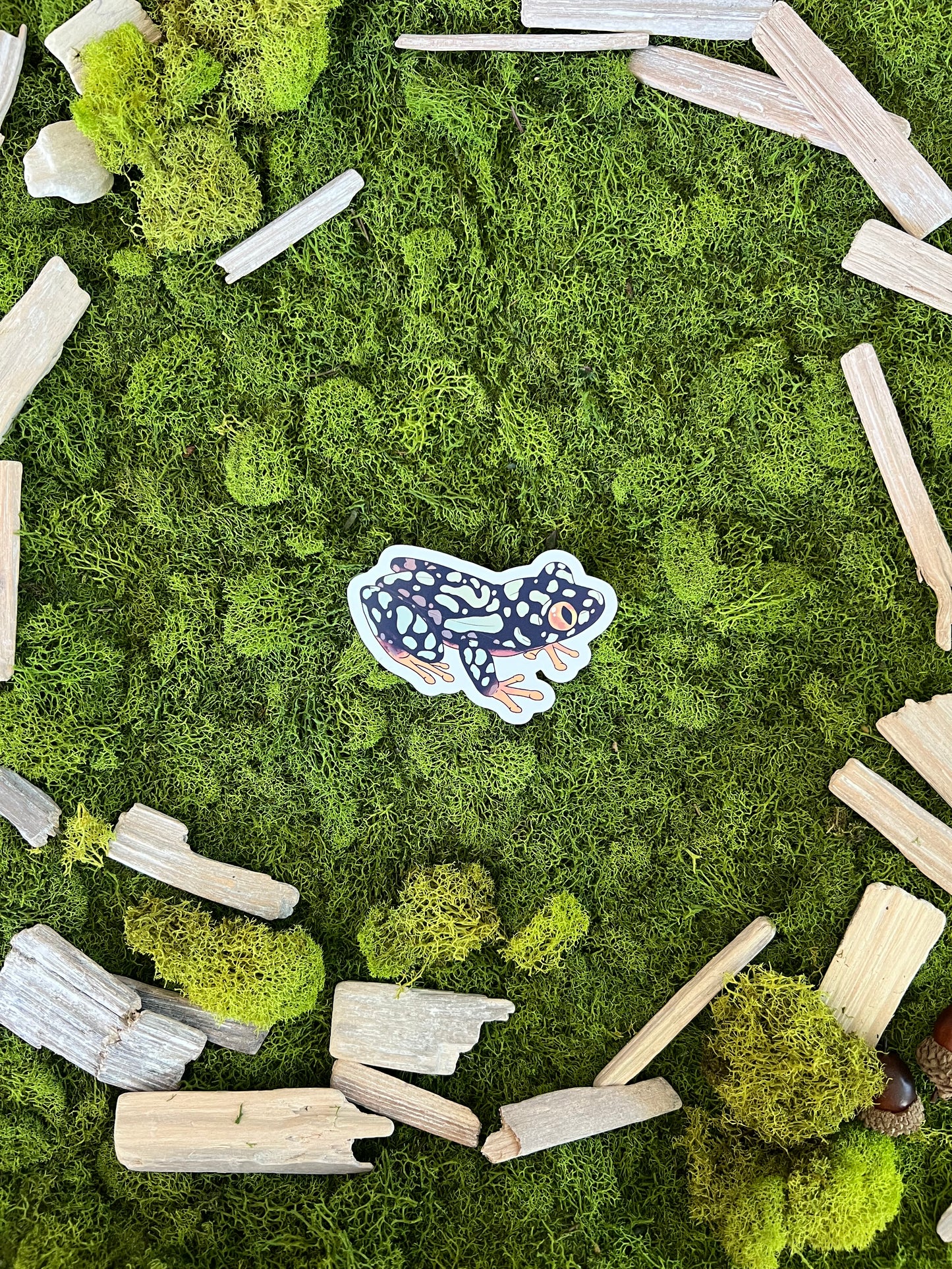 Starry Night Frog Glossy Sticker