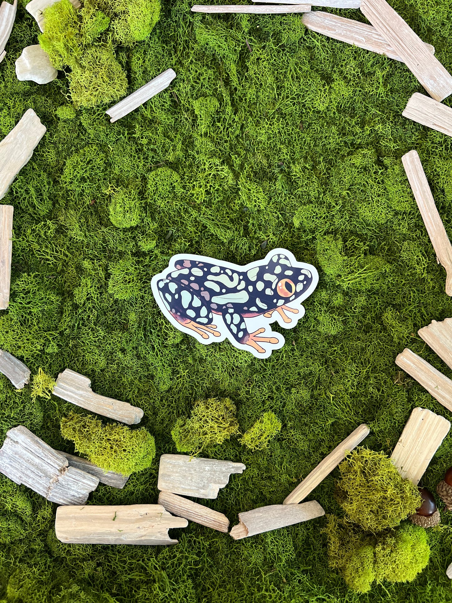 Starry Night Frog Glossy Sticker