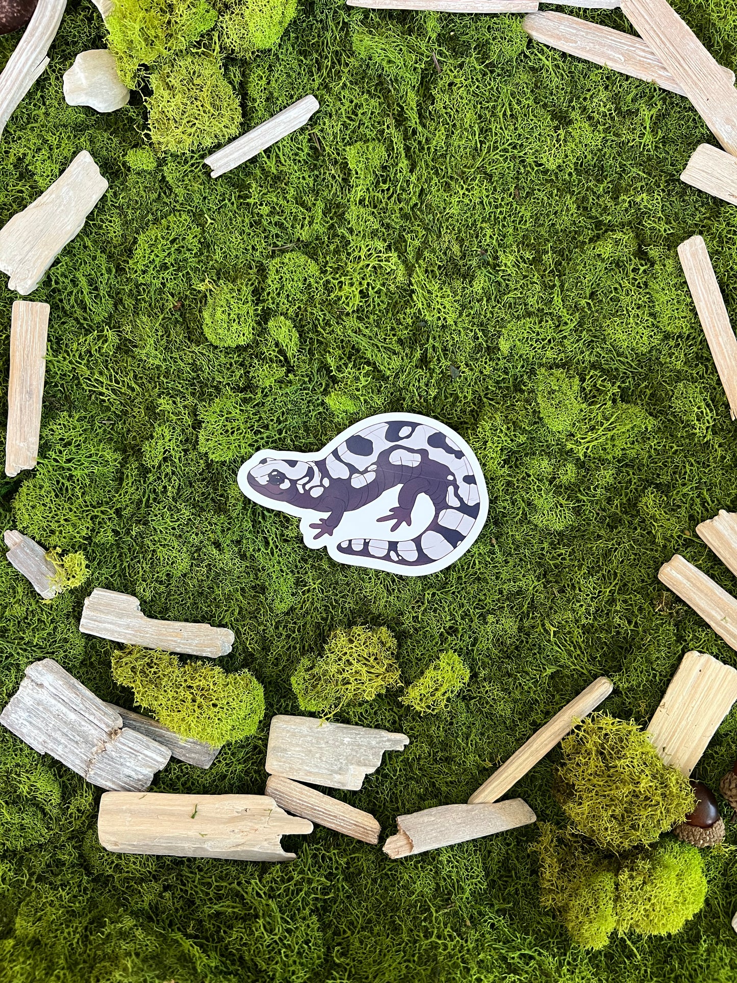 Marbled Salamander Glossy Sticker
