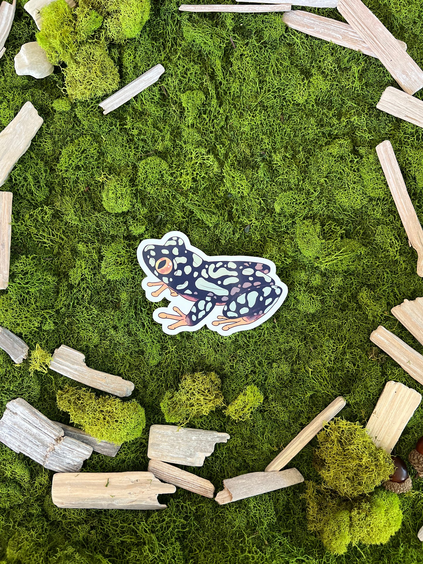 Starry Night Frog Glossy Sticker