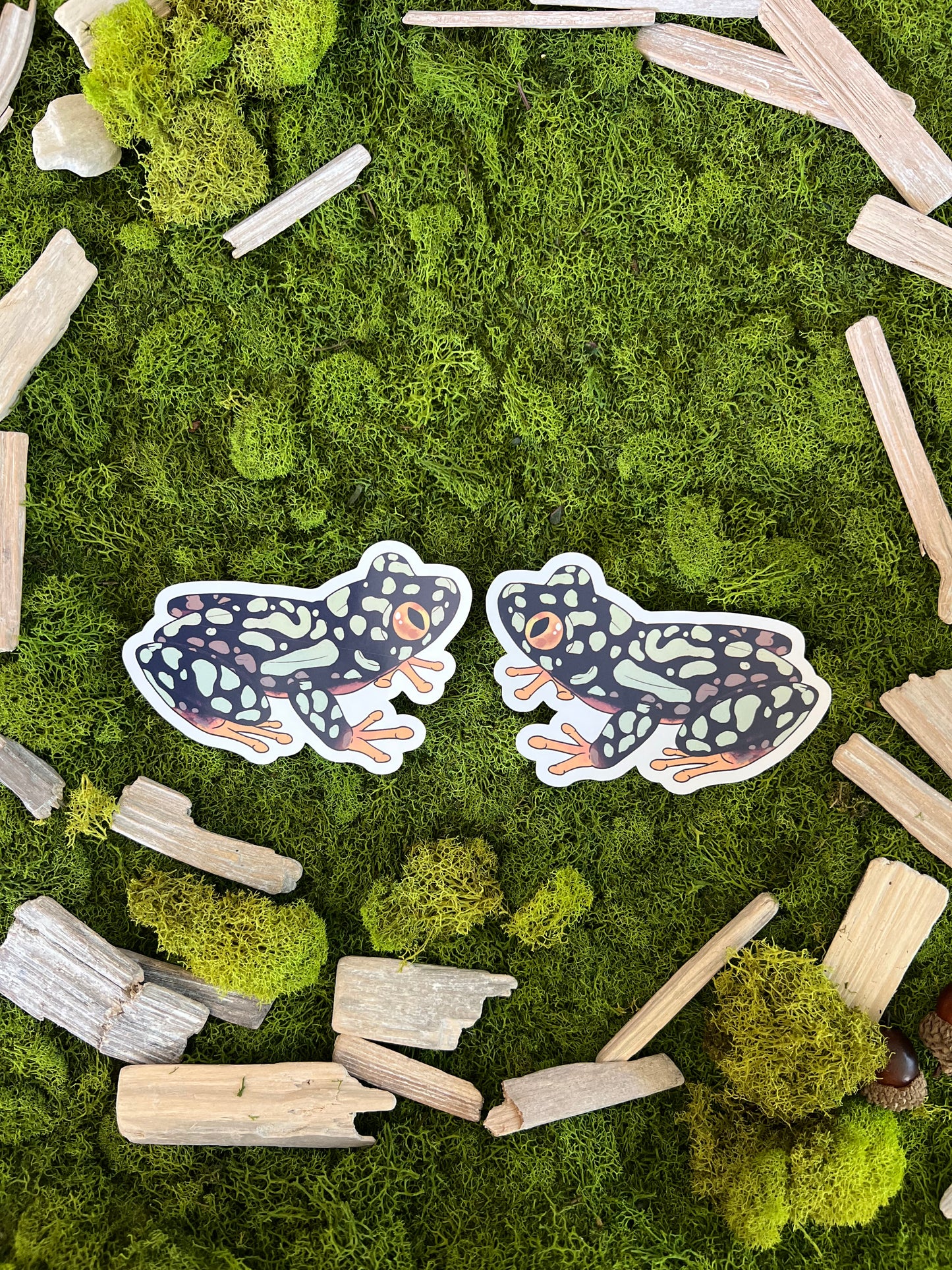 Starry Night Frog Glossy Sticker