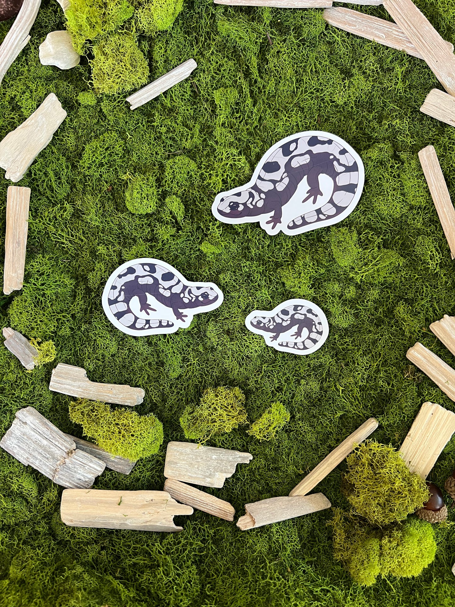 Marbled Salamander Glossy Sticker
