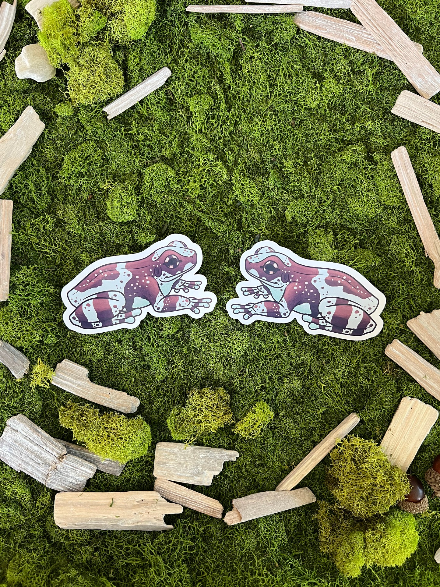 Amazon Milk Frog Glossy Sticker