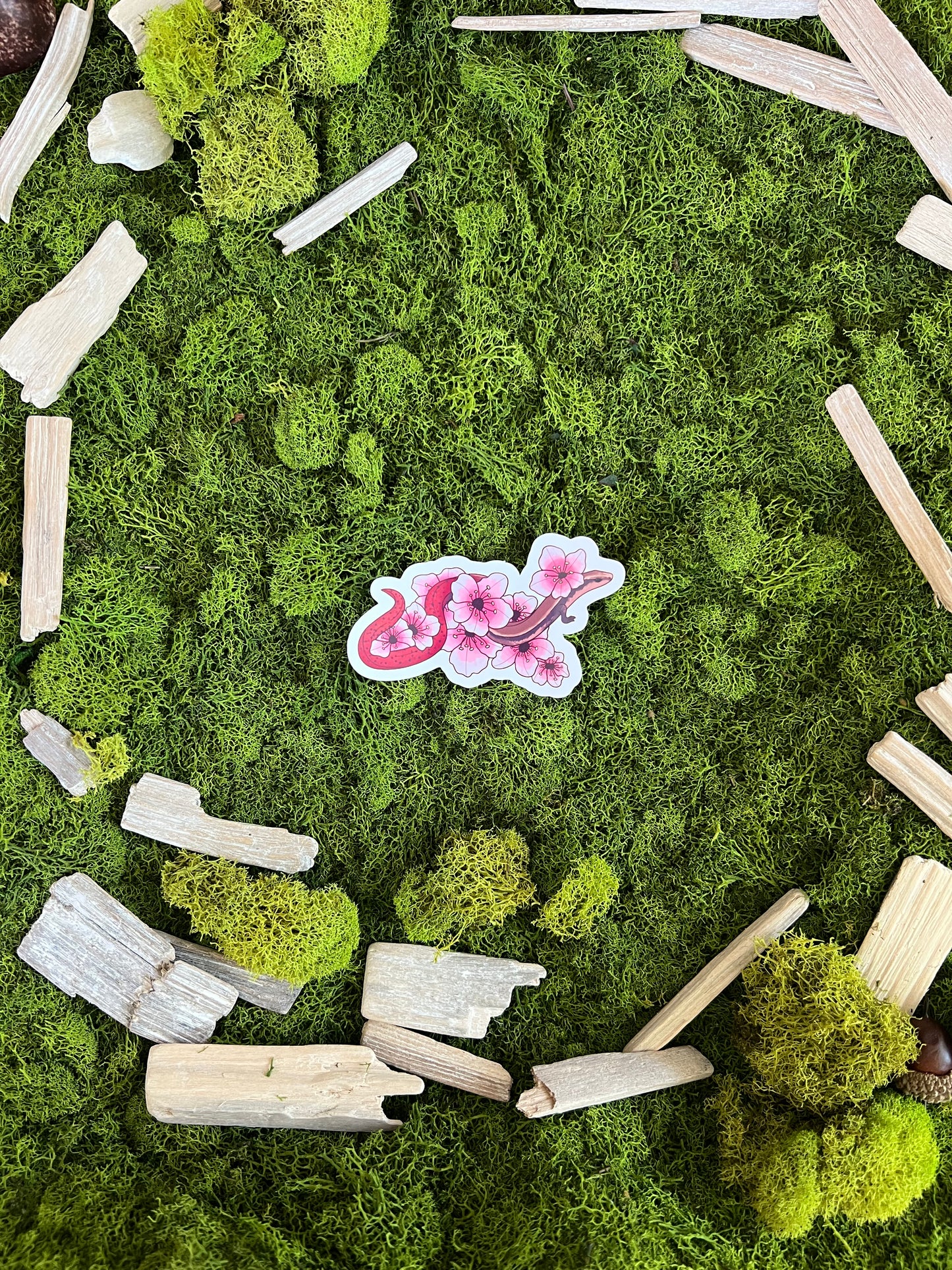 Flame-Tailed Slider Blossoms Glossy Sticker