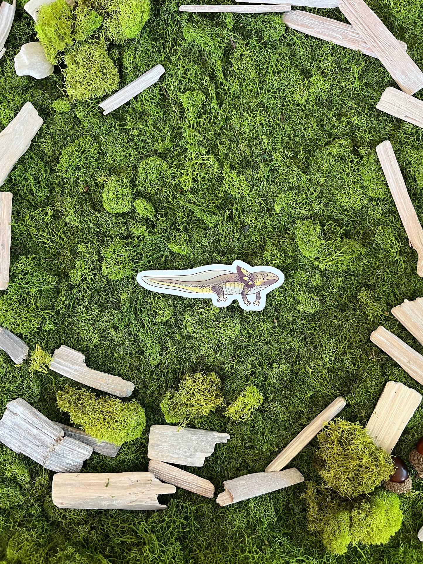 Green Wild Axolotl Glossy Sticker