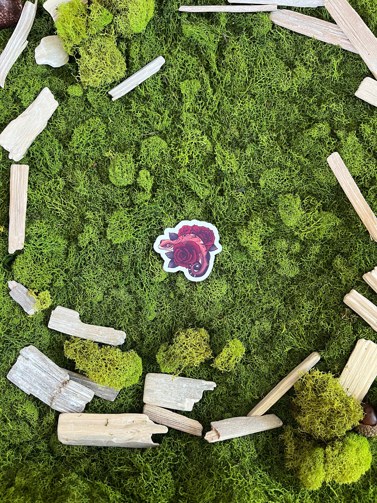 Cat Gecko Roses Glossy Sticker