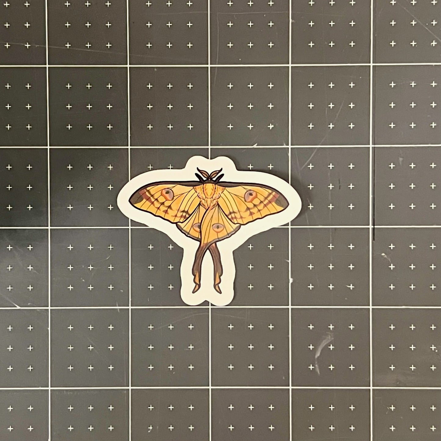 Comet Moth Glossy Sticker