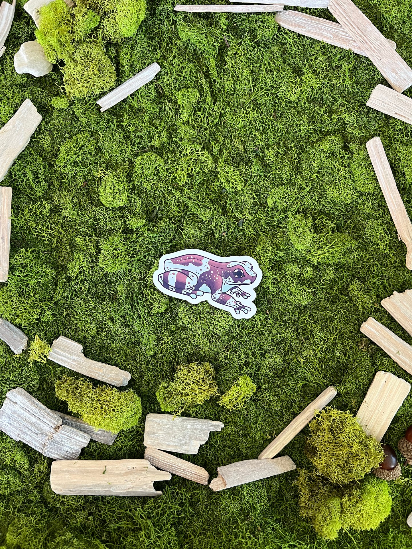 Amazon Milk Frog Glossy Sticker