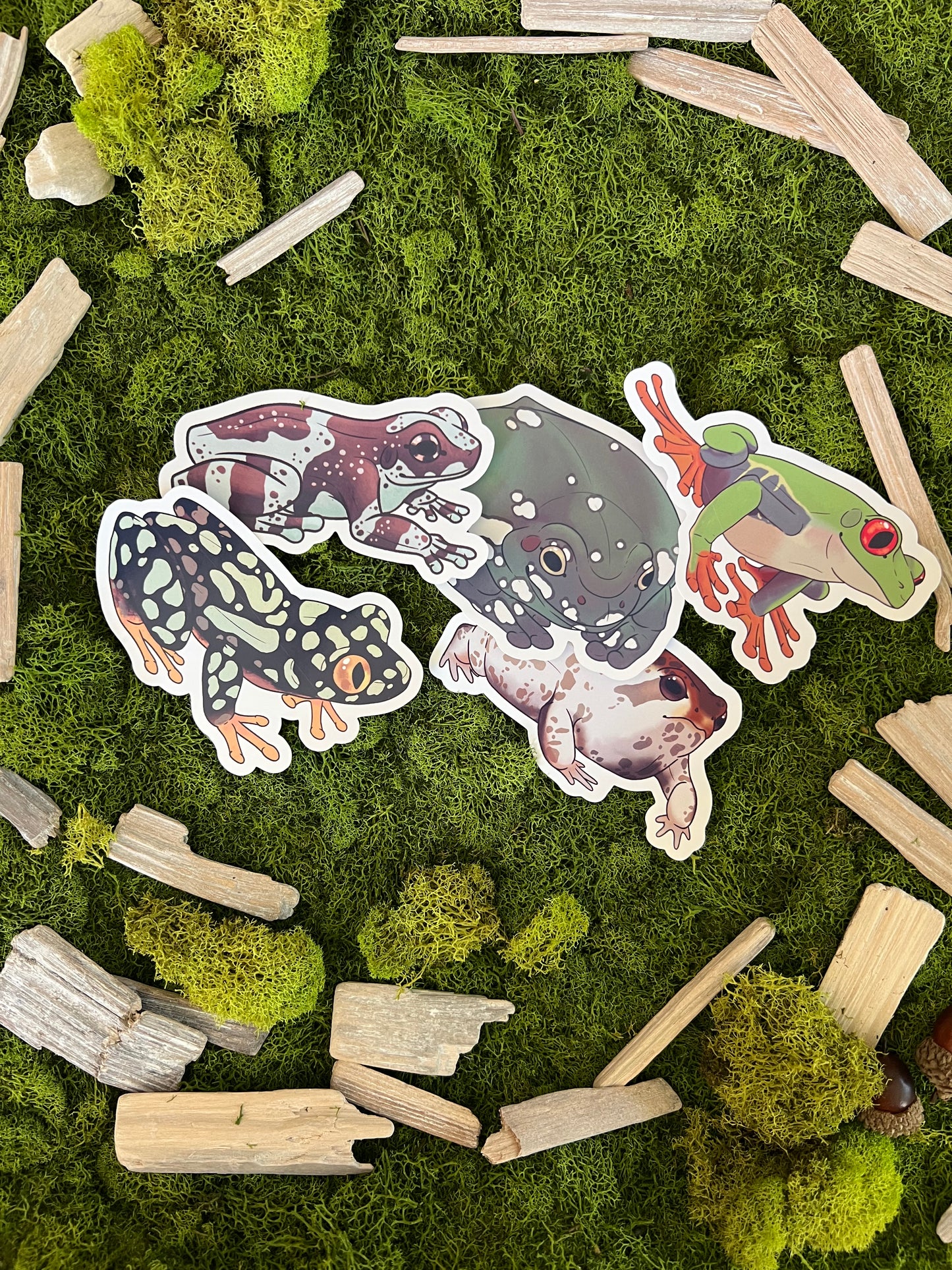 Amazon Milk Frog Glossy Sticker