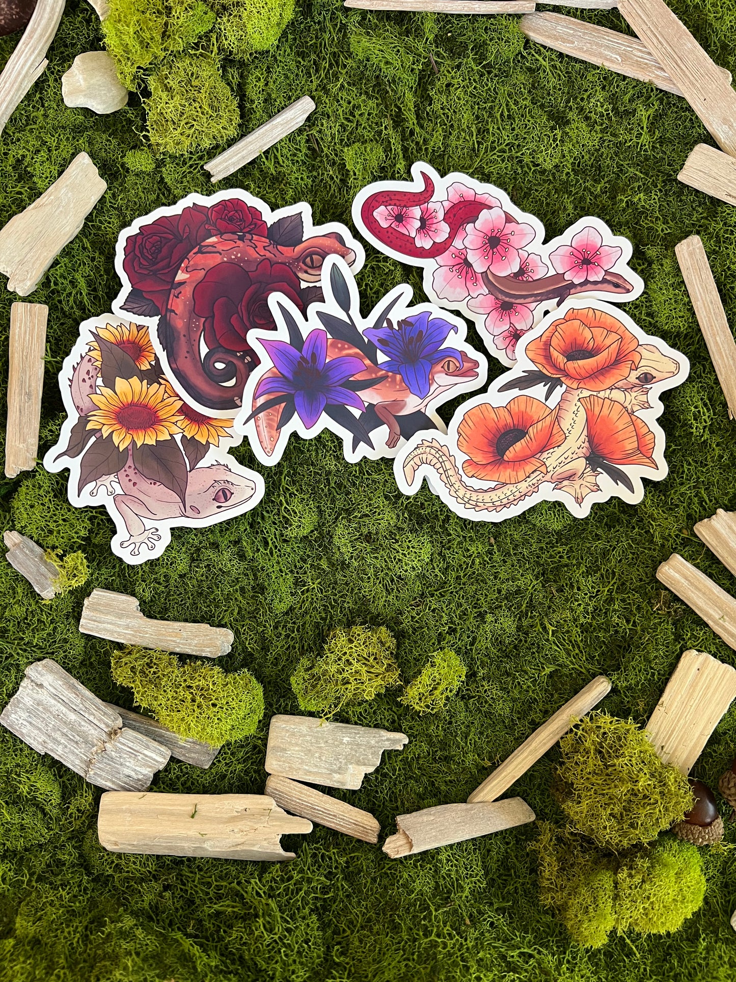 Cat Gecko Roses Glossy Sticker