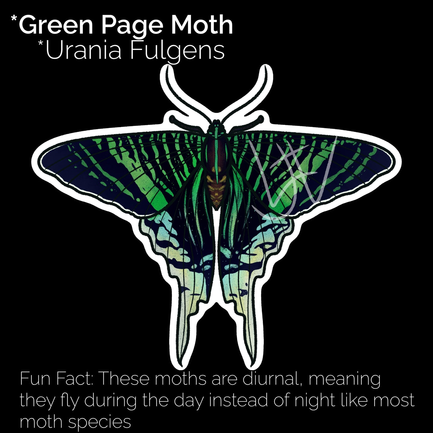 Green Page Moth Glossy Sticker