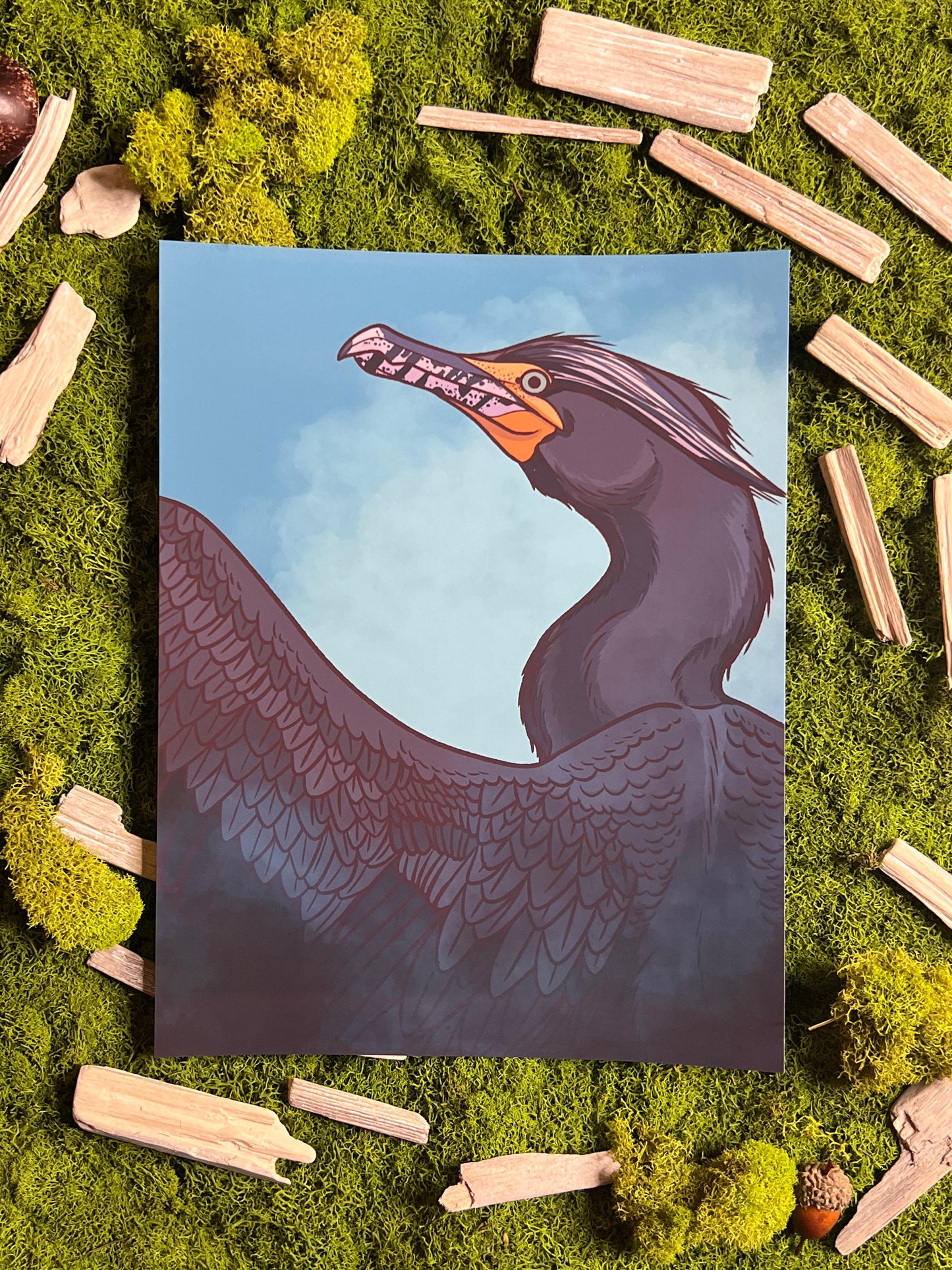 Double Crested Cormorant 8.5x11in Print