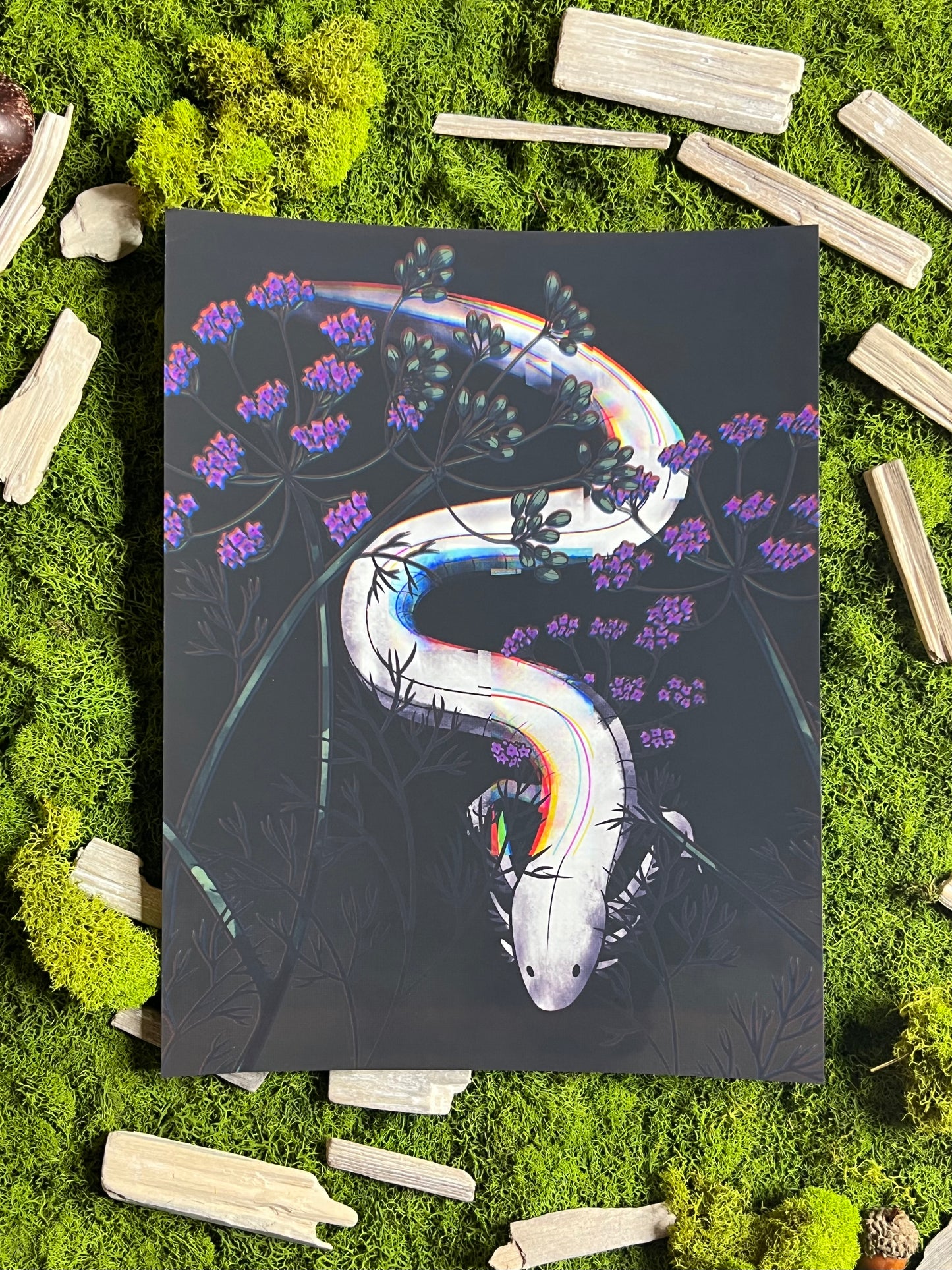 Glitchy Olm 8.5x11in Print