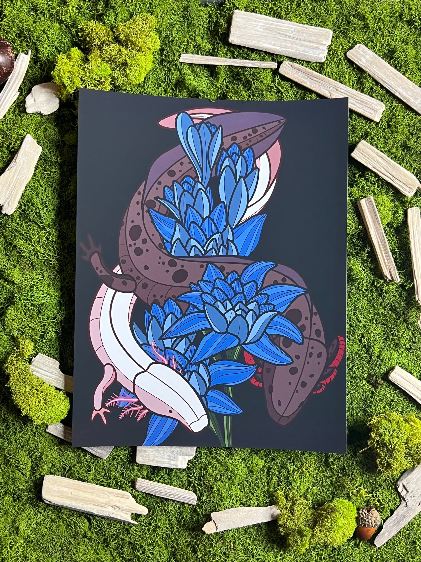 Olm and Mud Puppy Flower 8.5x11in Print