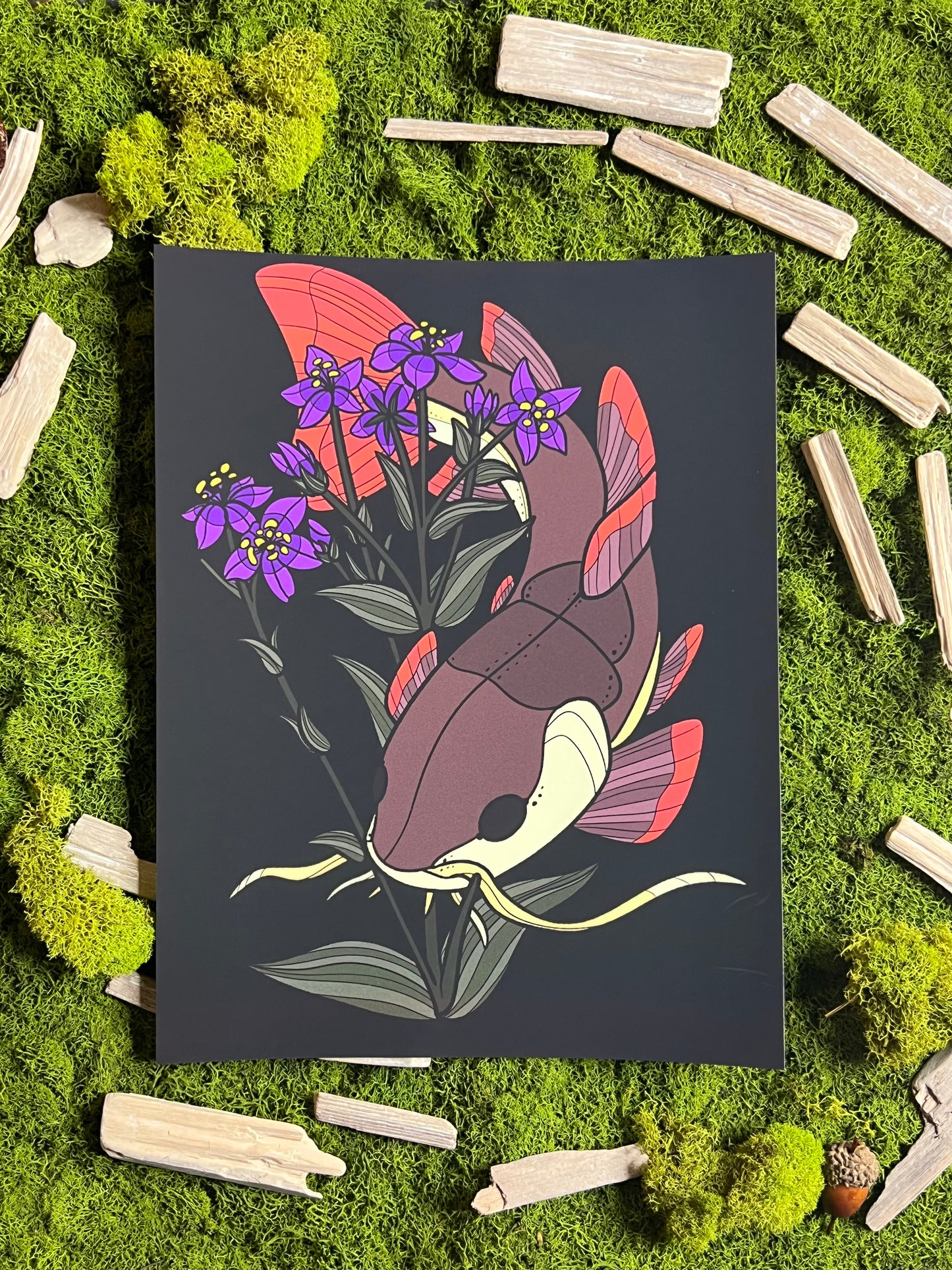 RedTail Catfish Flowers 8.5x11in Print