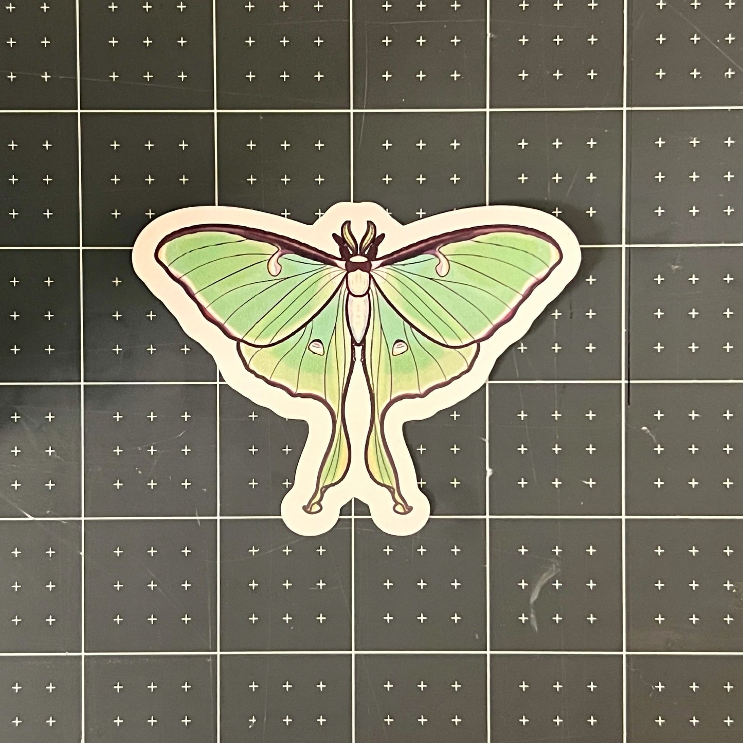Lunar Moth Glossy Sticker