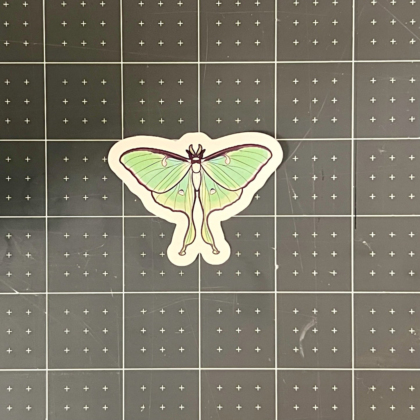 Lunar Moth Glossy Sticker