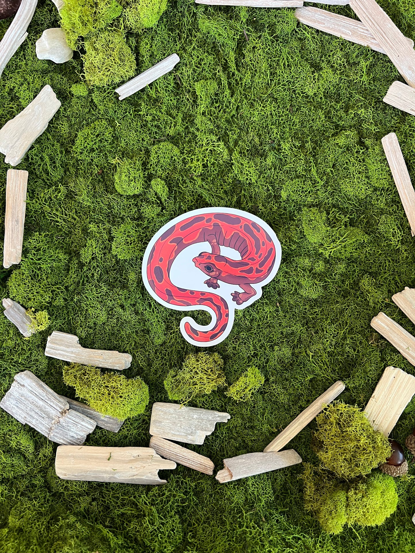 Mexican Climbing Salamander Glossy Sticker