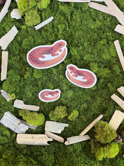 Northern Dusky Salamander Glossy Sticker