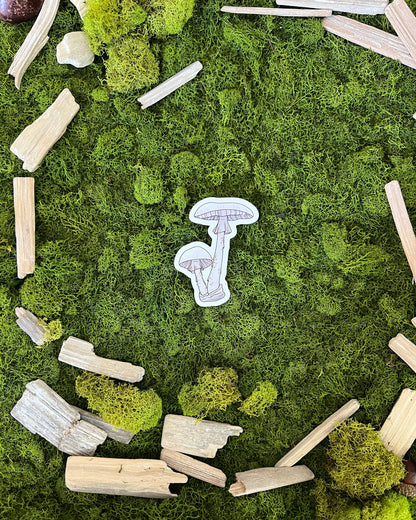 Destroying Angel Mushroom Glossy Sticker