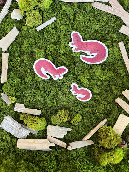 Red Salamander Glossy Sticker