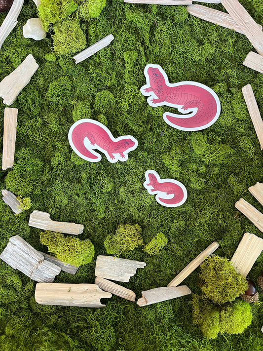 Red Salamander Glossy Sticker