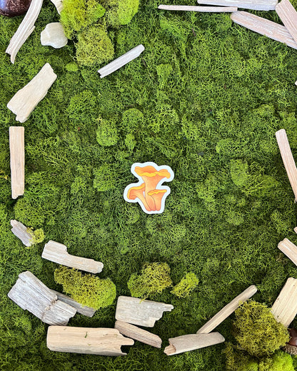 Chanterelle Mushroom Glossy Sticker