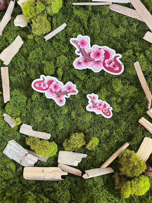 Flame-Tailed Slider Blossoms Glossy Sticker