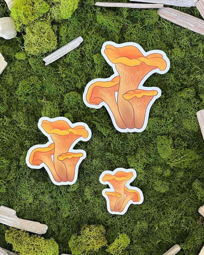 Chanterelle Mushroom Glossy Sticker