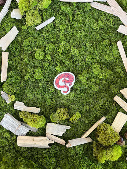 Mexican Climbing Salamander Glossy Sticker