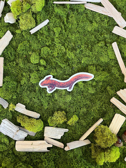 Common Mudpuppy Glossy Sticker