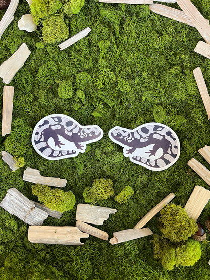 Marbled Salamander Glossy Sticker