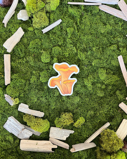 Chanterelle Mushroom Glossy Sticker