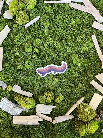 Eastern Hellbender Glossy Sticker