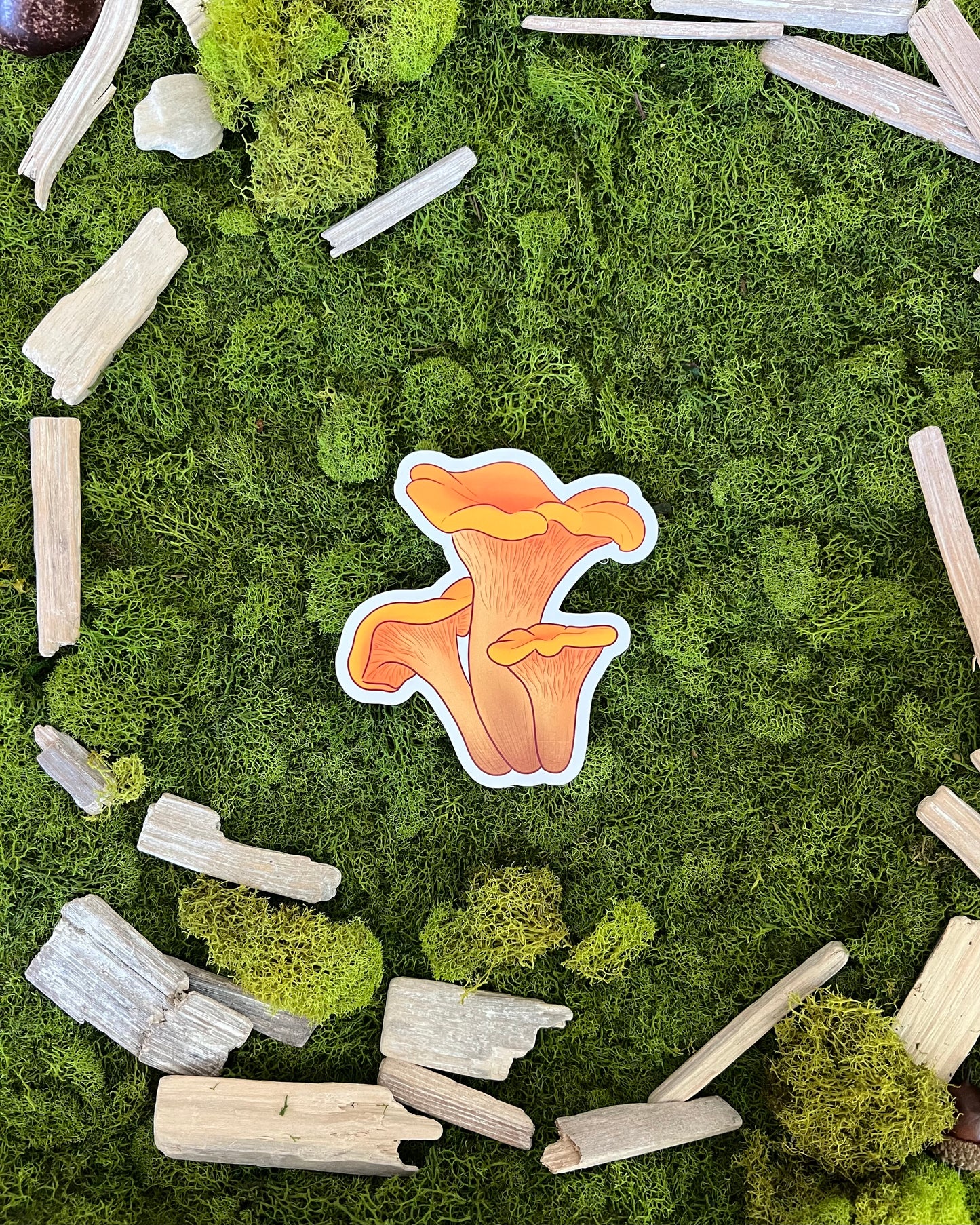Chanterelle Mushroom Glossy Sticker