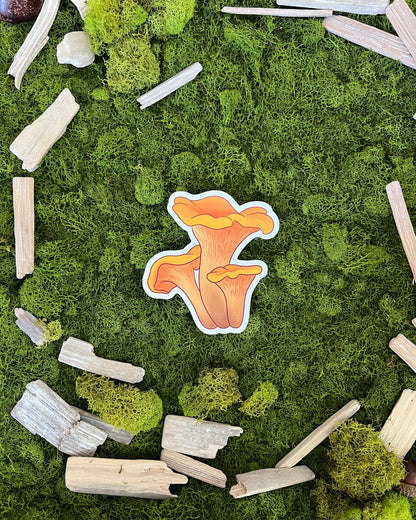 Chanterelle Mushroom Glossy Sticker