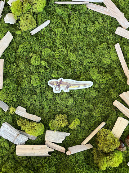 Green Wild Axolotl Glossy Sticker