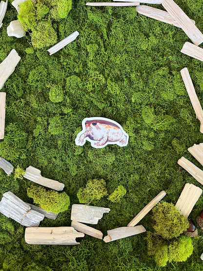 Desert Rain Frog Glossy Sticker