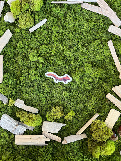 Common Mudpuppy Glossy Sticker