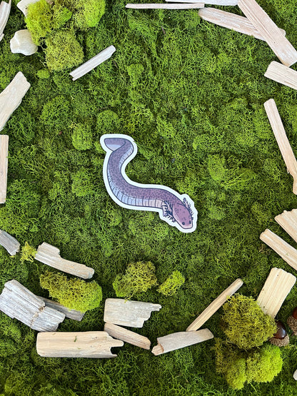 Lesser Siren Glossy Sticker