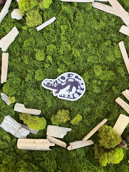 Marbled Salamander Glossy Sticker