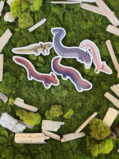 Common Mudpuppy Glossy Sticker