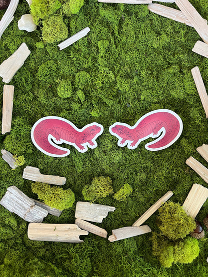 Red Salamander Glossy Sticker