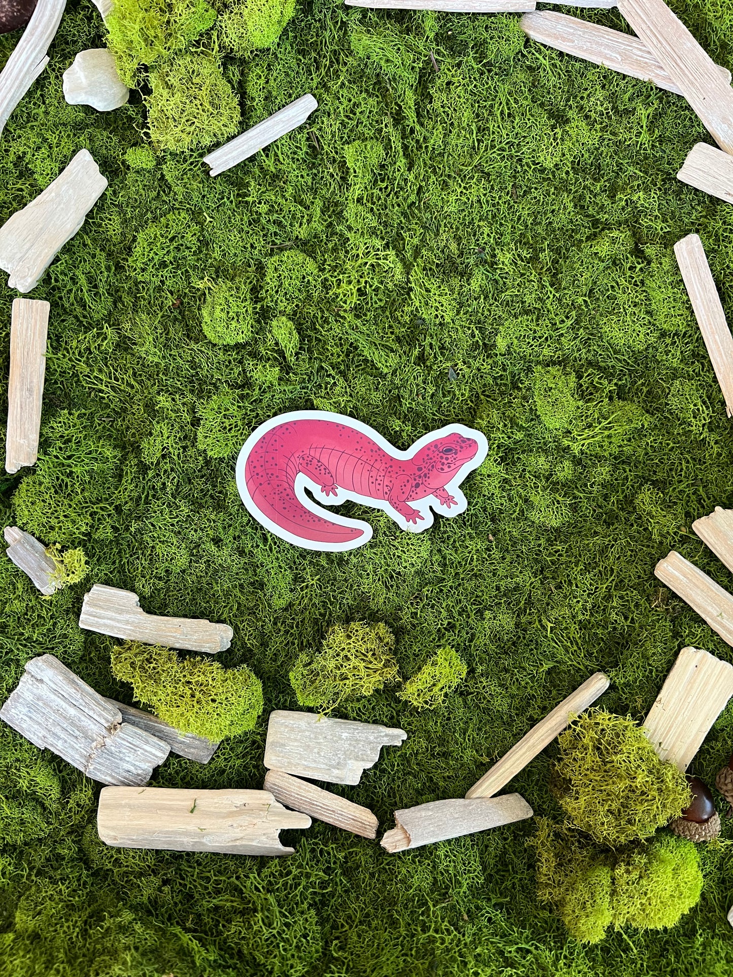 Red Salamander Glossy Sticker