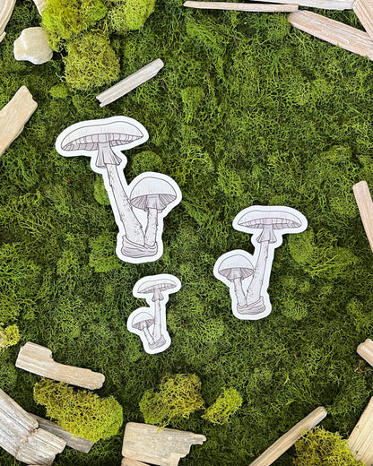 Destroying Angel Mushroom Glossy Sticker