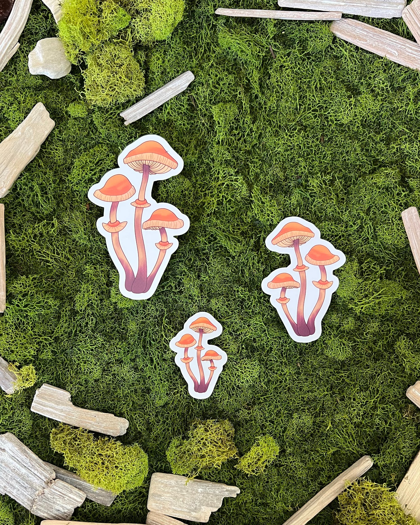 Autumn Skullcap Mushroom Glossy Sticker