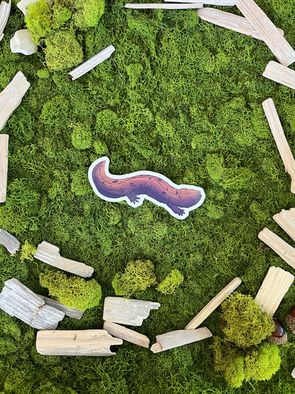 Eastern Hellbender Glossy Sticker