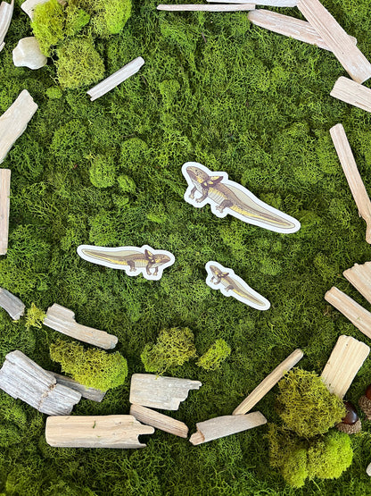 Green Wild Axolotl Glossy Sticker